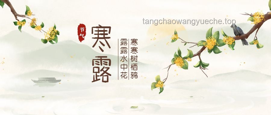“你可能不认识我，但一定听过我做的昆曲”：昆曲艺术的新趋势与未来展望